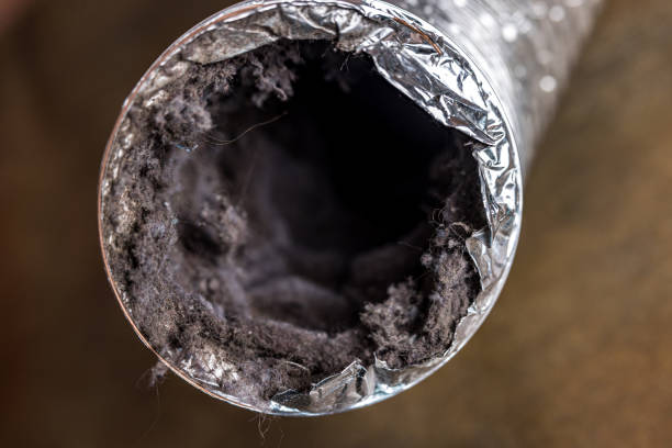 Best Affordable Air Duct Cleaning  in Redmond, WA